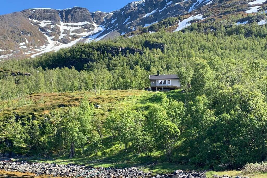 Willa Cabin In Jokelfjord Zewnętrze zdjęcie
