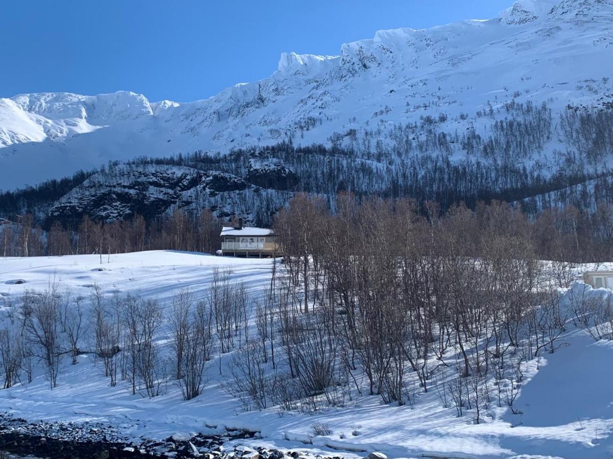 Willa Cabin In Jokelfjord Zewnętrze zdjęcie